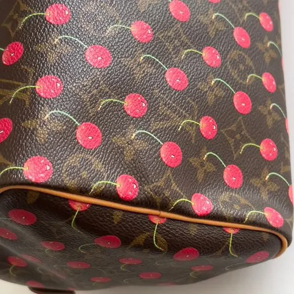 Louis Vuitton Monogram Cherries Speedy 25 - Picture 11 of 16